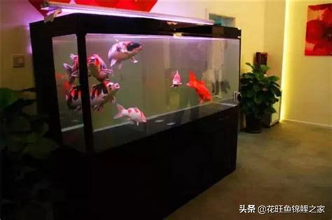 辦公室養魚ptt|[問題] 適合在辦公室養的小魚